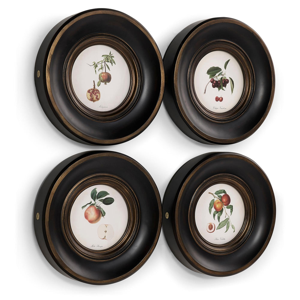 Vintage Fruit No. 2 - Set of 4 - image 2