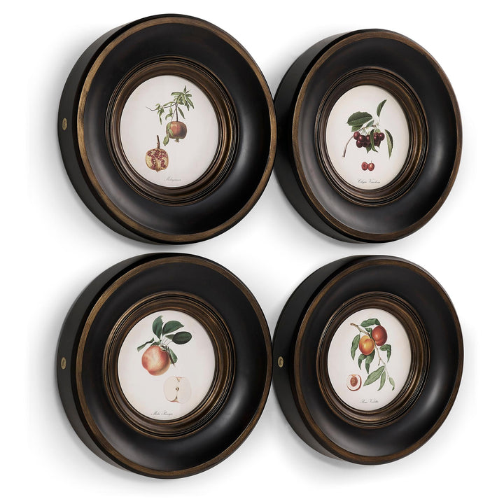Vintage Fruit No. 2 - Set of 4 - image 2