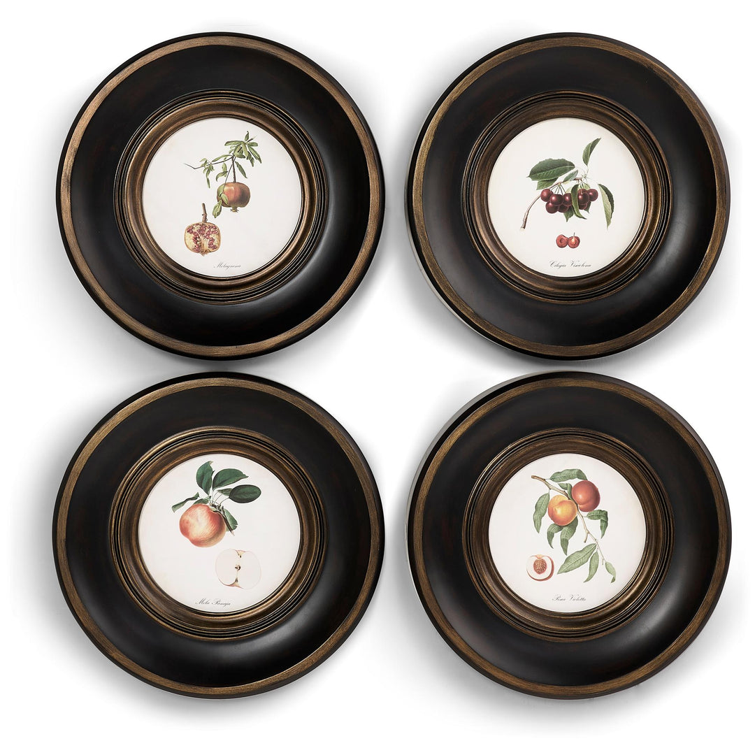 Vintage Fruit No. 2 - Set of 4 - Default Title