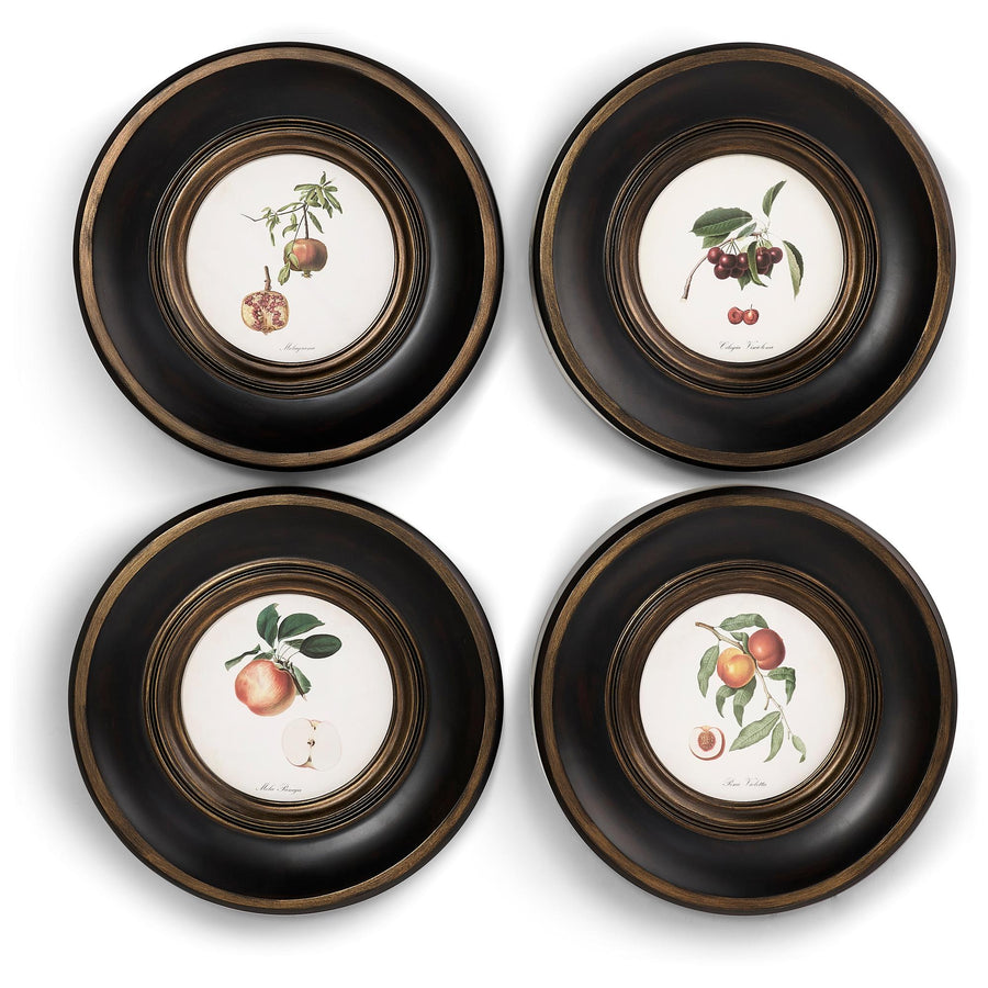 Vintage Fruit No. 2 - Set of 4 - Default Title