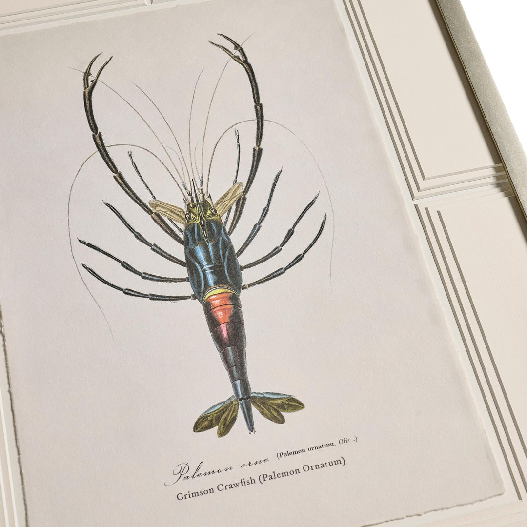 Vintage Marine Animals - Set of 4 - image 7