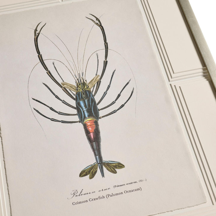 Vintage Marine Animals - Set of 4 - image 7