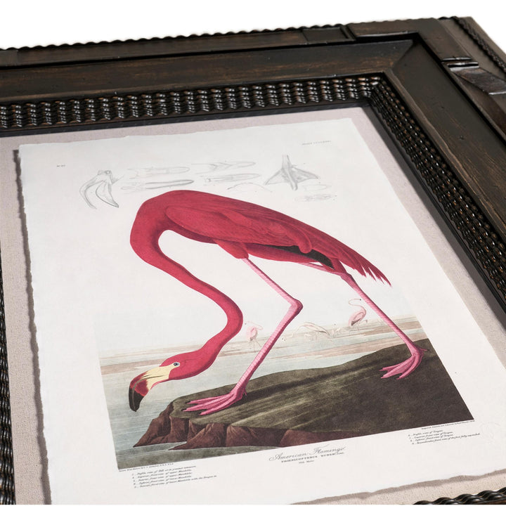 Audubon Birds - Set of 6 - image 4