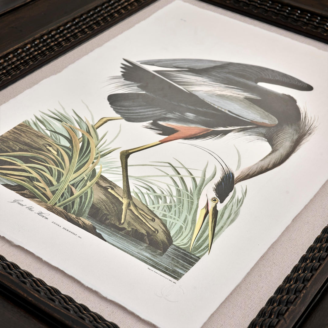 Audubon Birds - Set of 6 - image 3