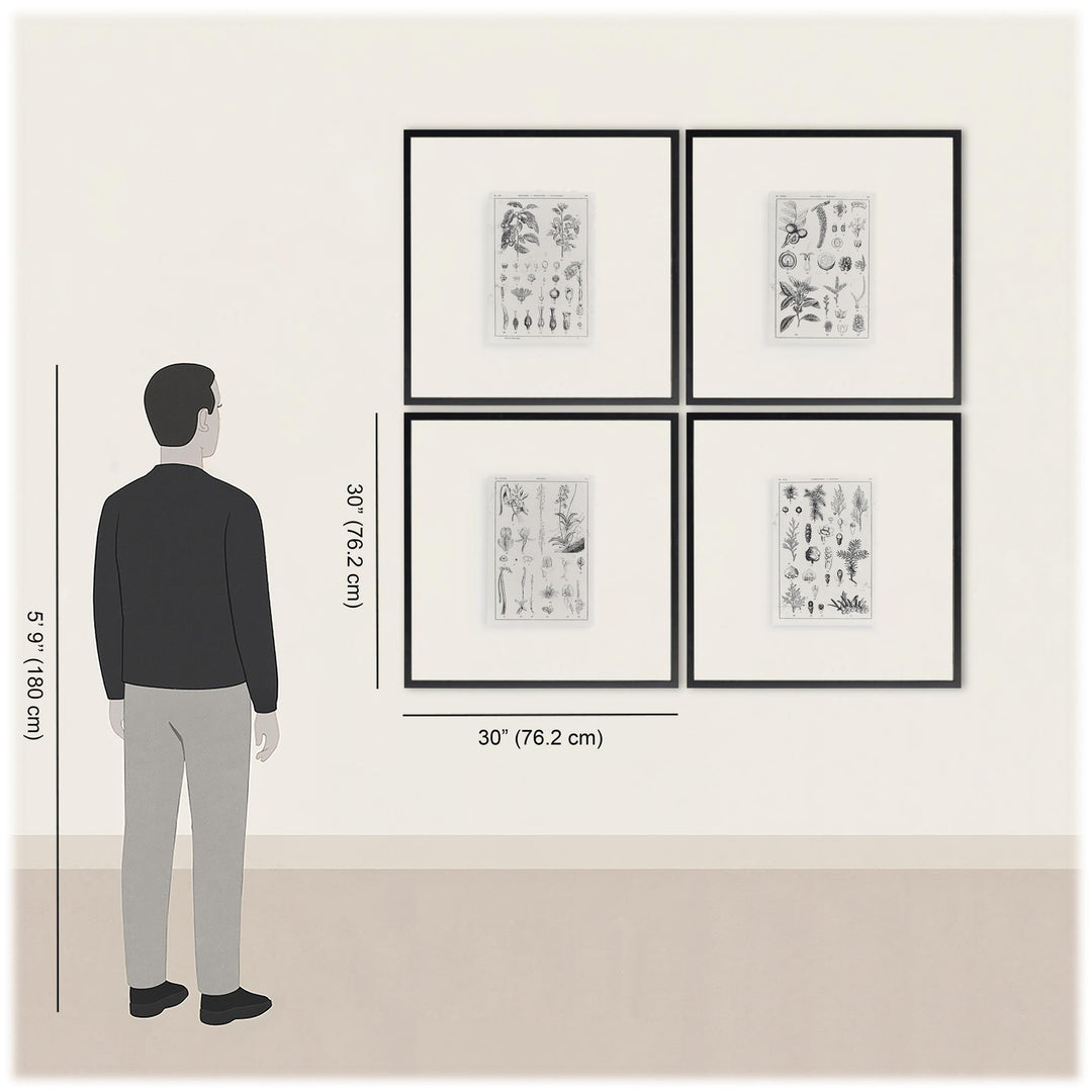 Botanica: The Art of Knowledge - Set of 4 - image 8