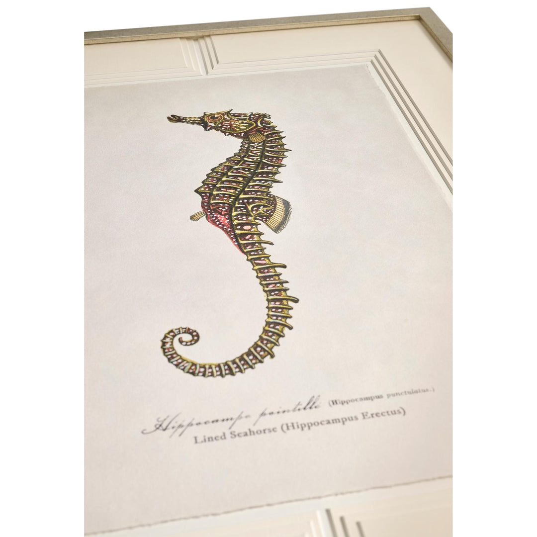 Vintage Marine Animals - Set of 4 - image 6