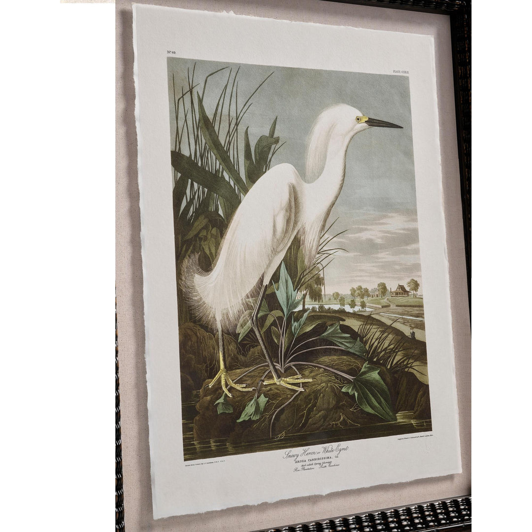 Audubon Birds - Set of 6 - image 7