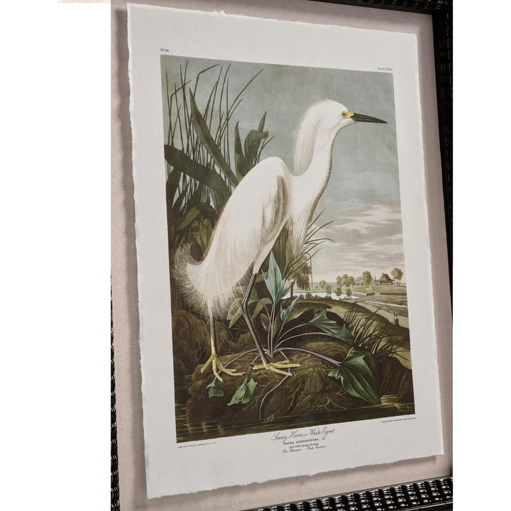 Audubon Birds - Set of 6 - image 7