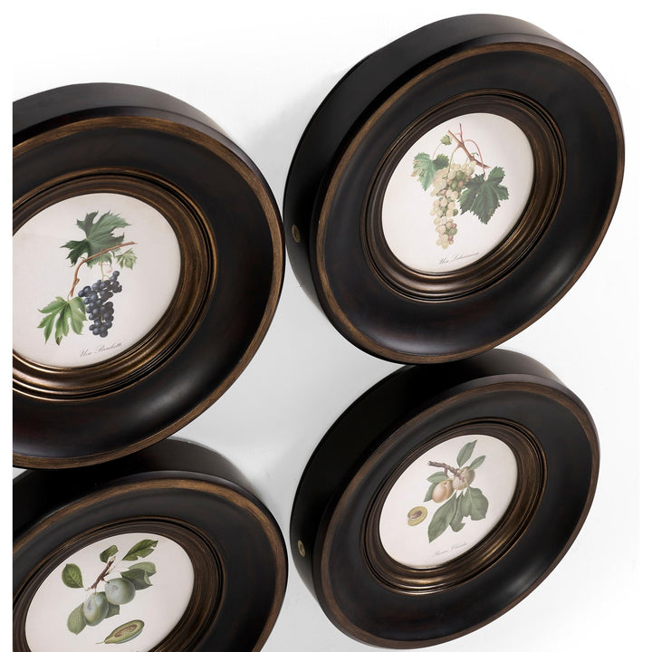 Vintage Fruit No. 3 - Set of 4 - image 3