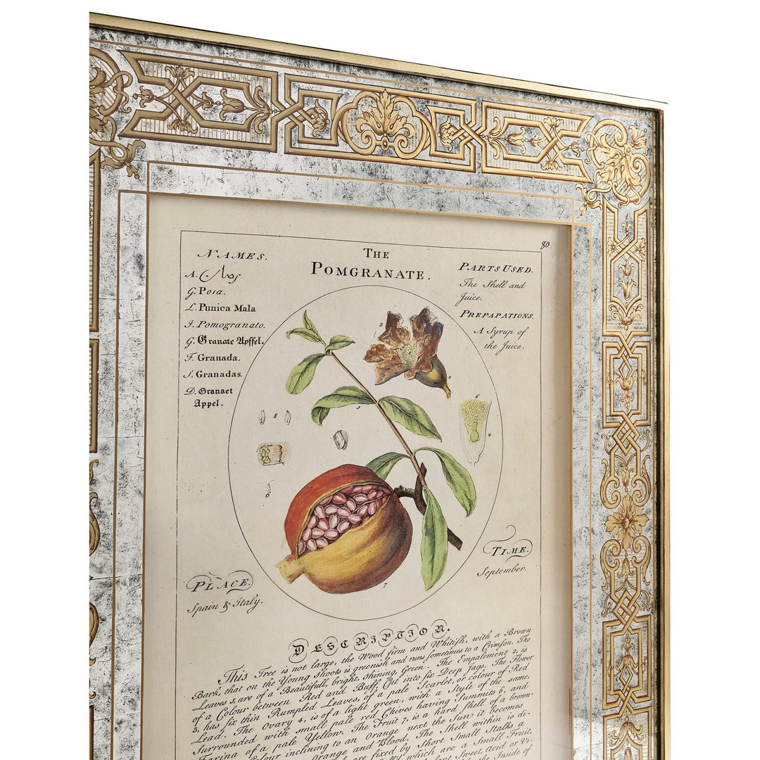 Herbal of Enlightenment - Set of 4 - image 6