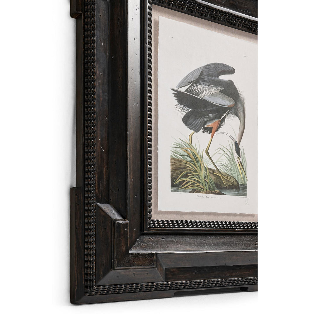 Audubon Birds - Set of 6 - image 17