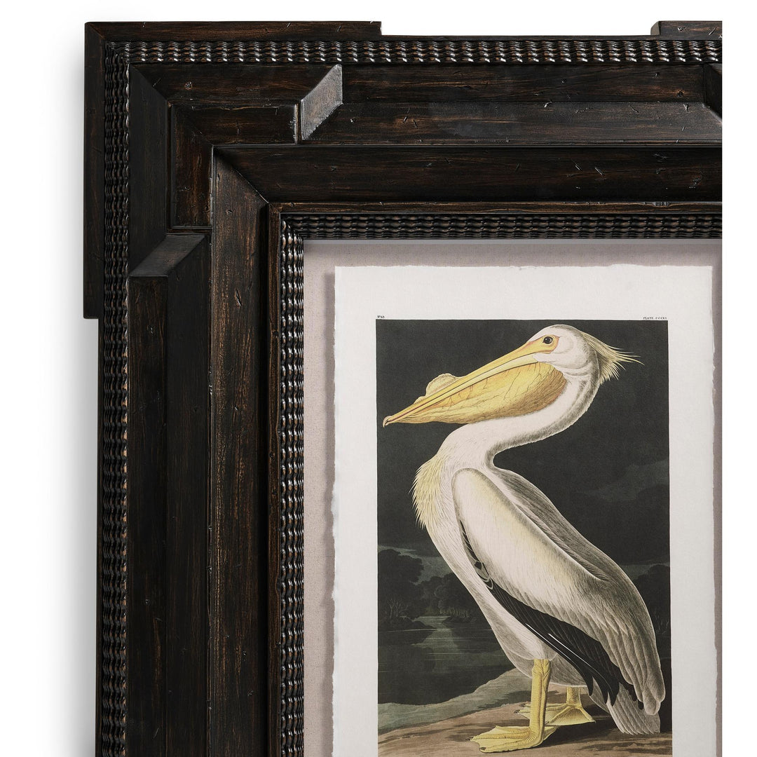 Audubon Birds - Set of 6 - image 10