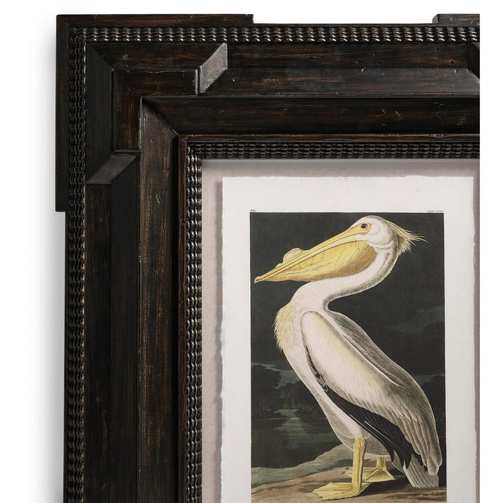 Audubon Birds - Set of 6 - image 10