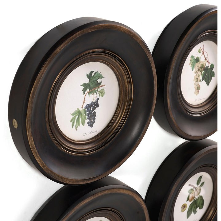 Vintage Fruit No. 3 - Set of 4 - image 5