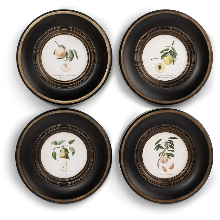 Vintage Fruit No. 1 - Set of 4 - Default Title