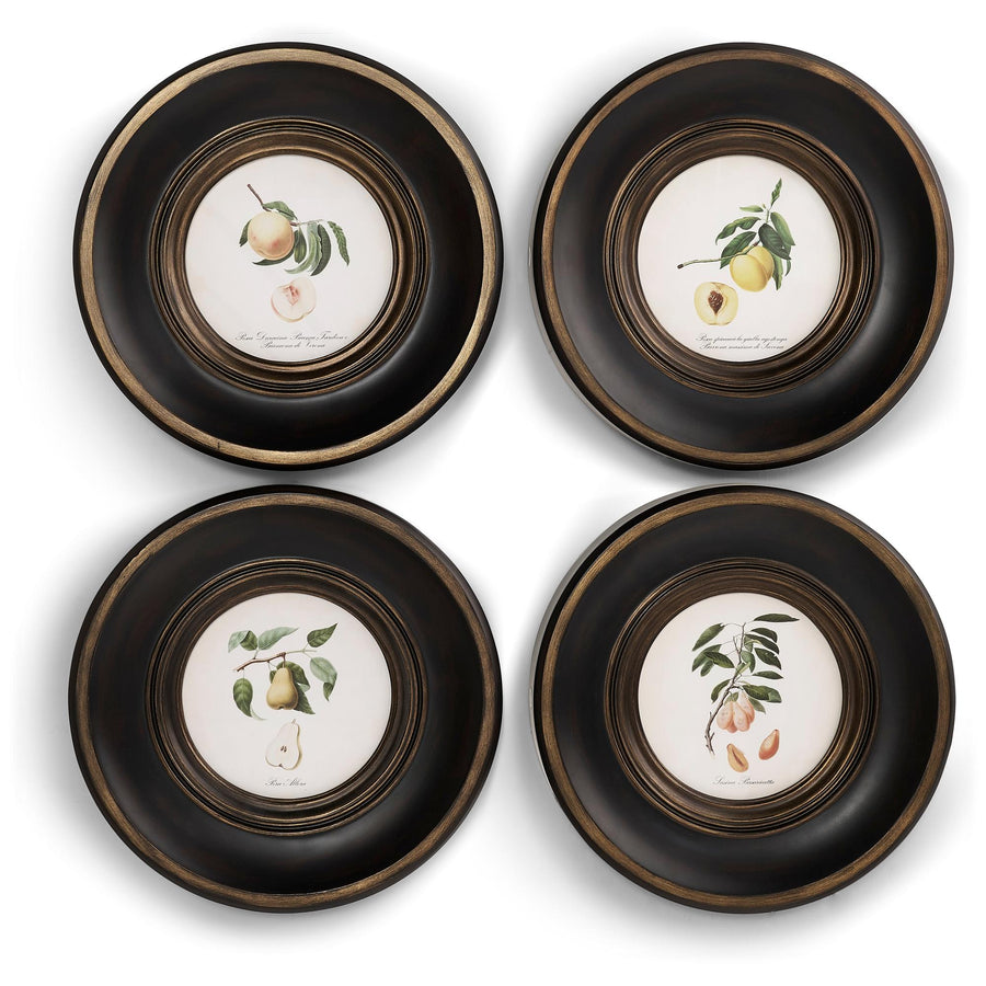Vintage Fruit No. 1 - Set of 4 - Default Title