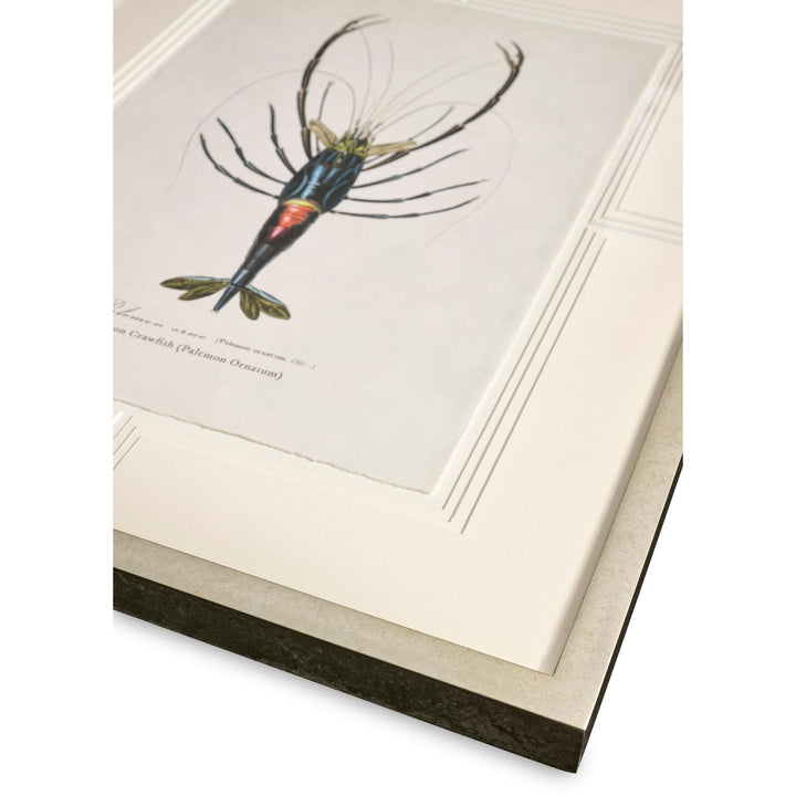 Vintage Marine Animals - Set of 4 - image 10