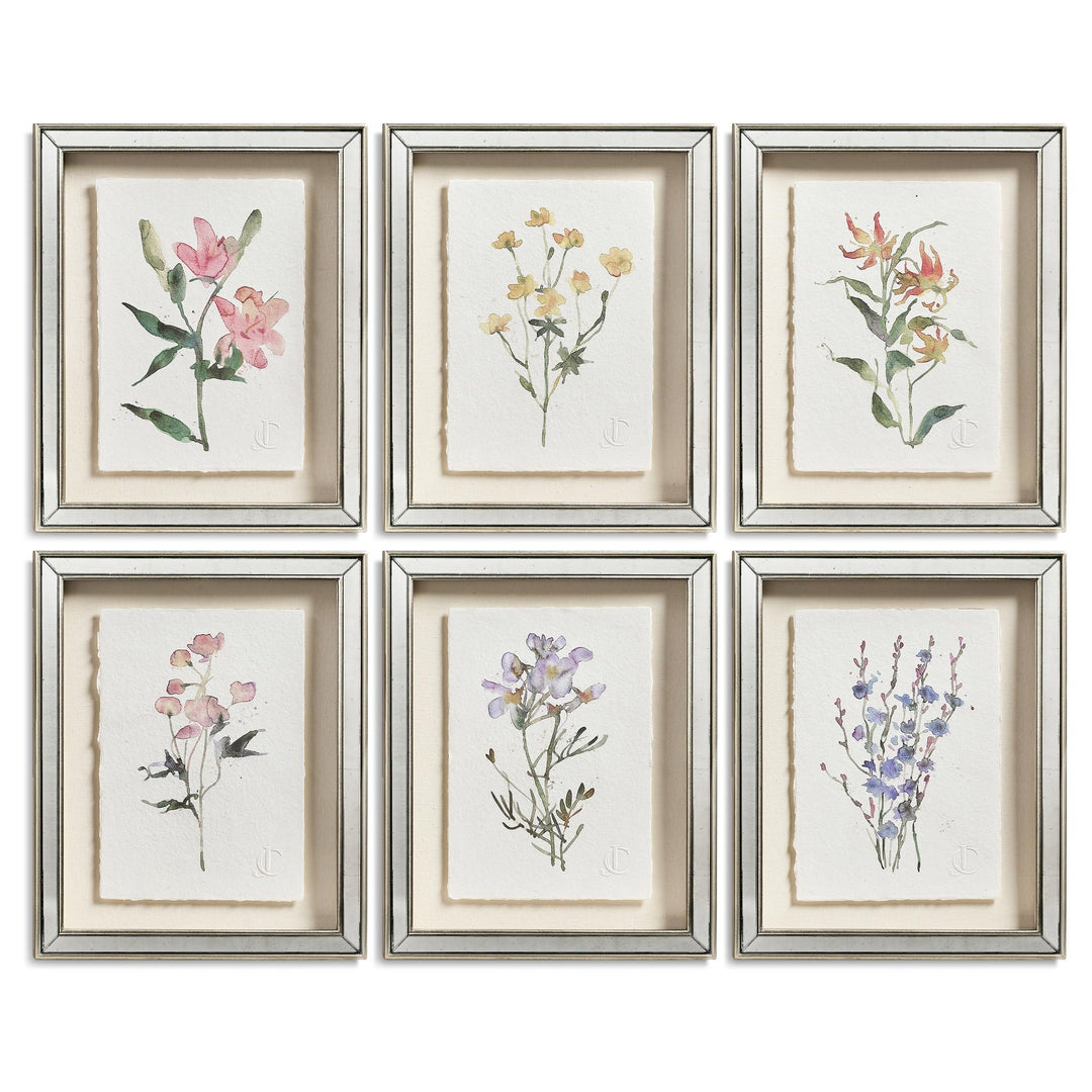 Petals and Process - Set of 6 - Default Title