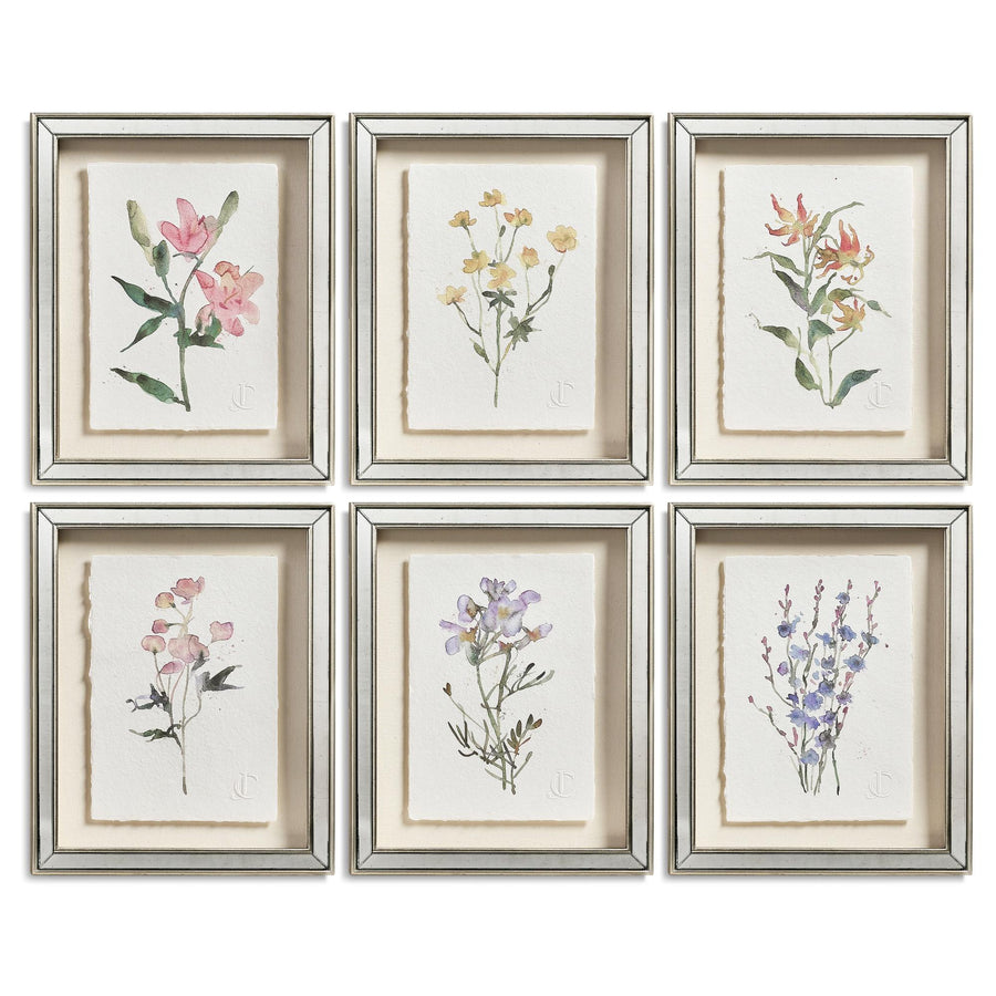 Petals and Process - Set of 6 - Default Title