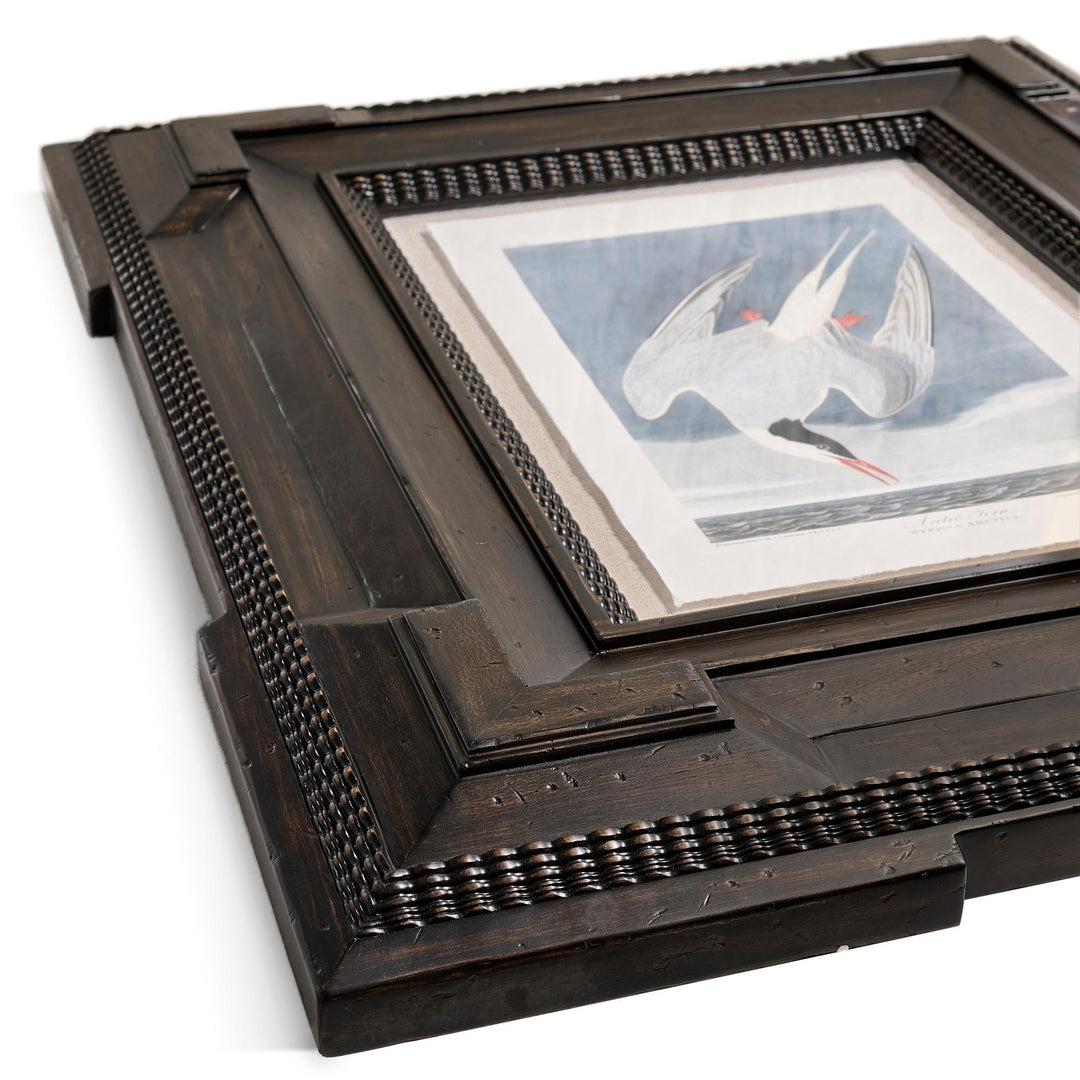 Audubon Birds - Set of 6 - image 13