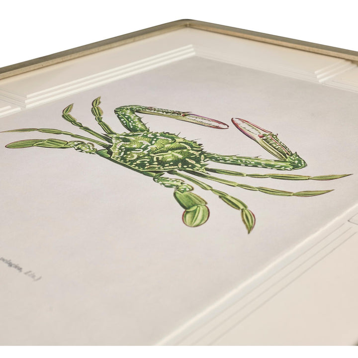 Vintage Marine Animals - Set of 4 - image 5