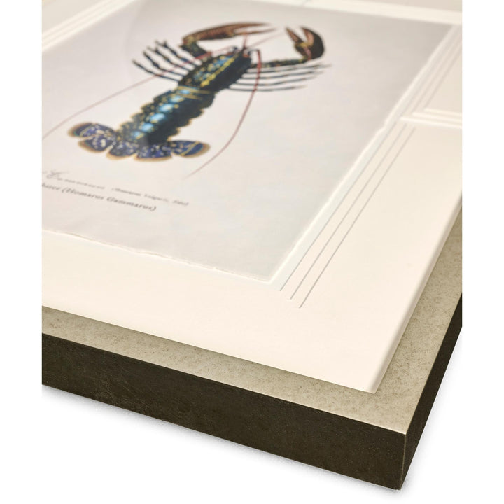 Vintage Marine Animals - Set of 4 - image 9