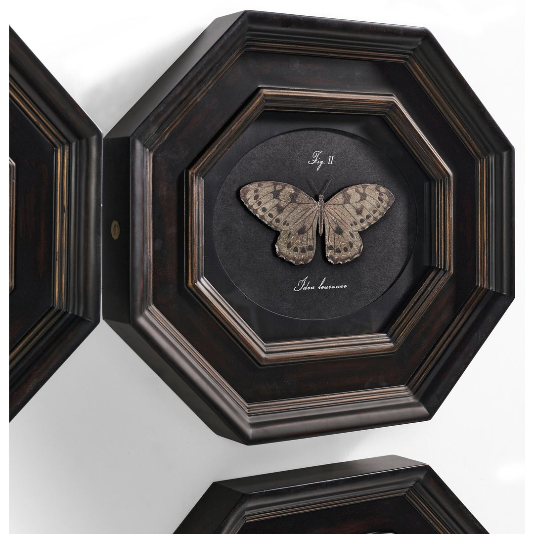Wings of Discovery - Set of 6 - image 3