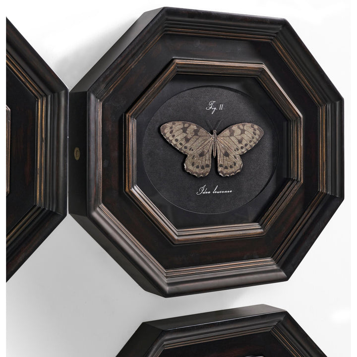 Wings of Discovery - Set of 6 - image 3