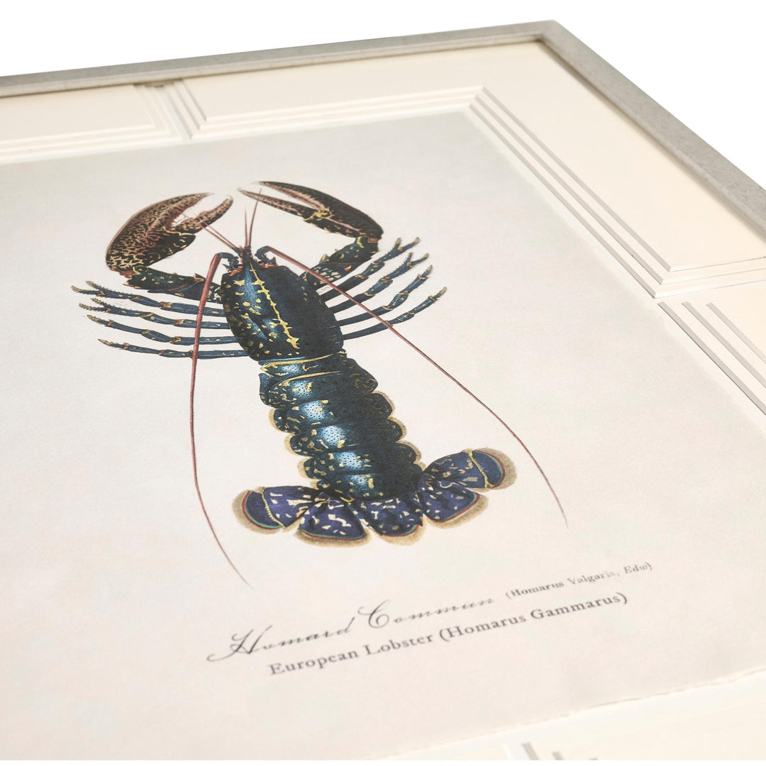 Vintage Marine Animals - Set of 4 - image 3