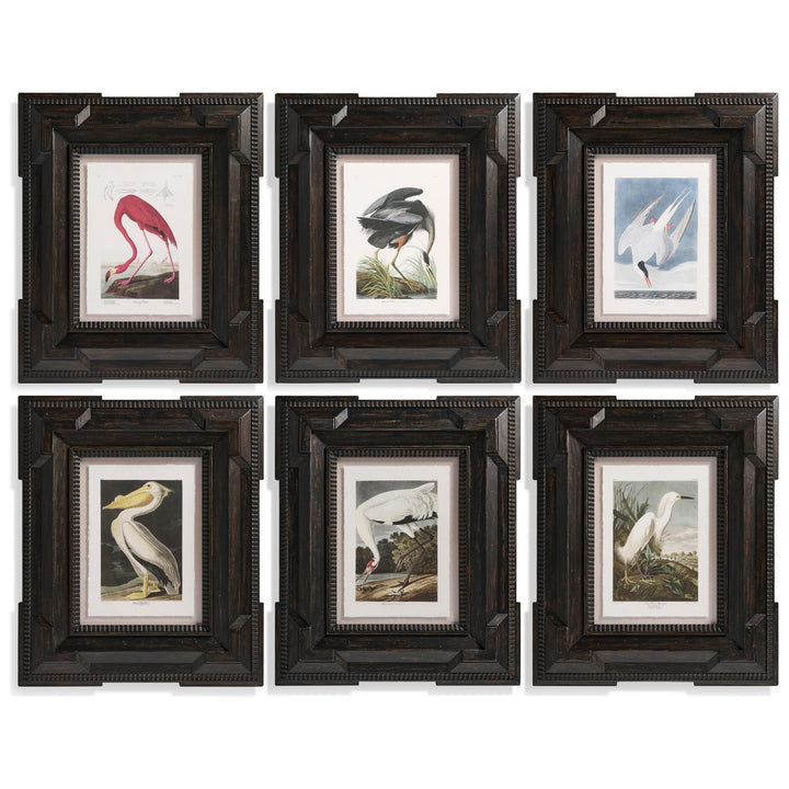 Audubon Birds - Set of 6 - Default Title