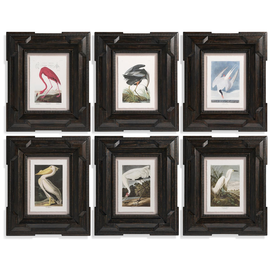 Audubon Birds - Set of 6 - Default Title