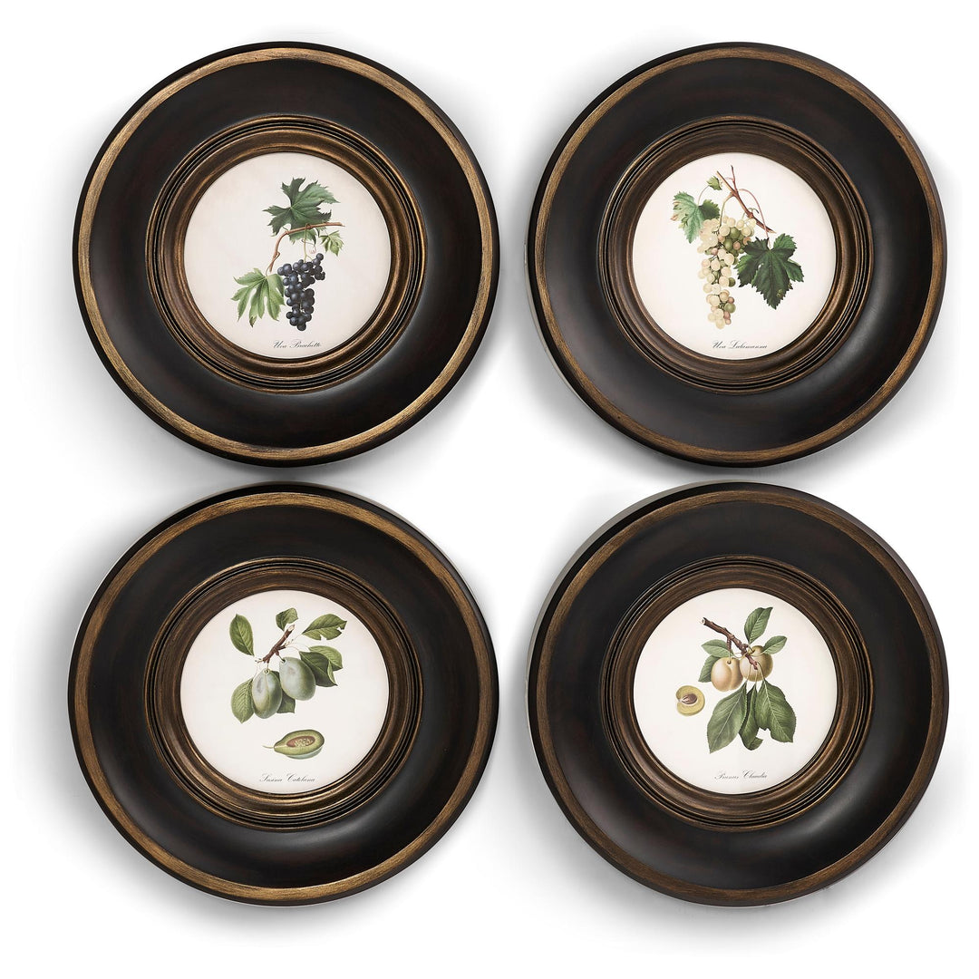 Vintage Fruit No. 3 - Set of 4 - Default Title
