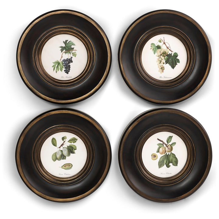 Vintage Fruit No. 3 - Set of 4 - Default Title