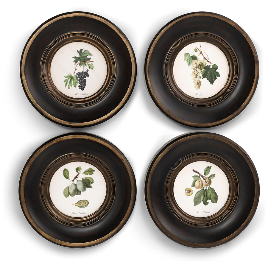 Vintage Fruit No. 3 - Set of 4 - Default Title