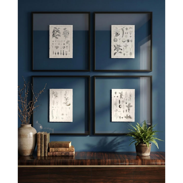 Botanica: The Art of Knowledge - Set of 4 - image 10