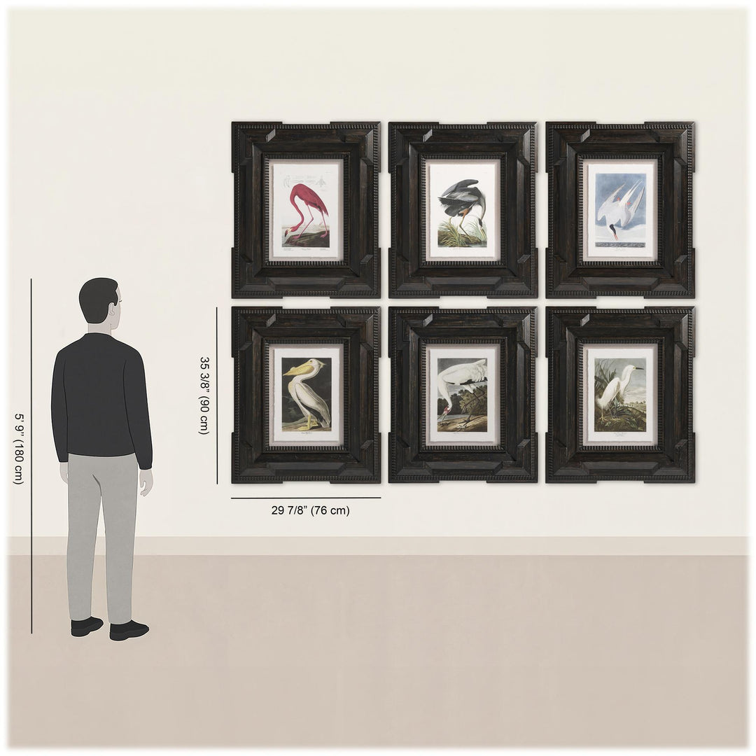 Audubon Birds - Set of 6 - image 18