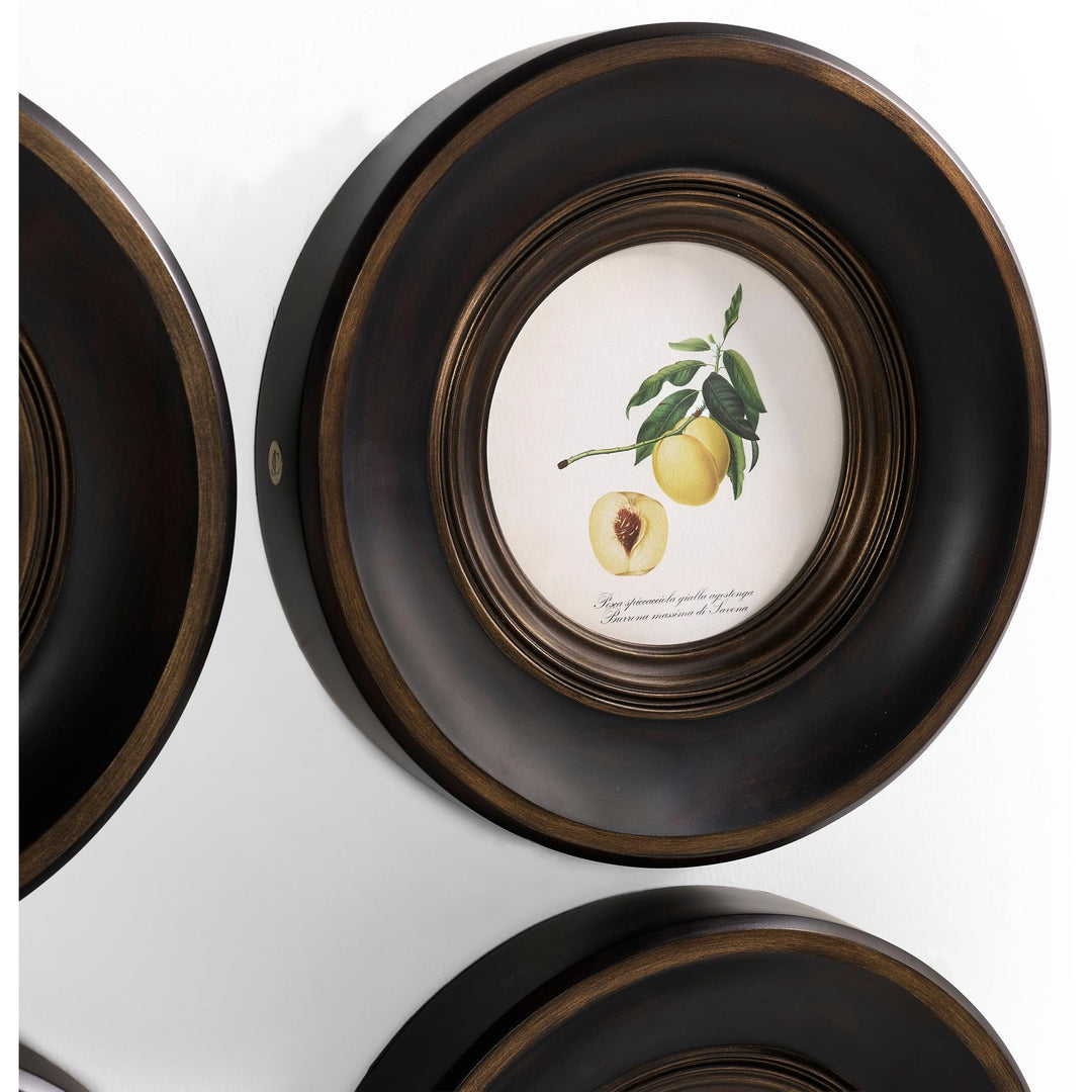Vintage Fruit No. 1 - Set of 4 - image 3