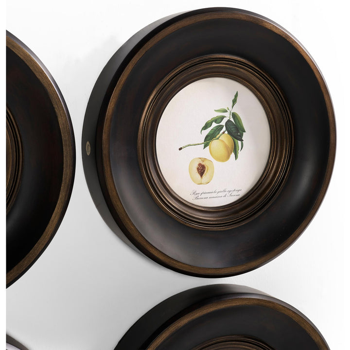 Vintage Fruit No. 1 - Set of 4 - image 3