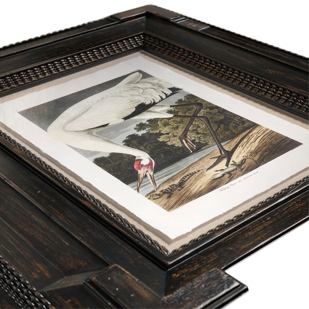 Audubon Birds - Set of 6 - image 9
