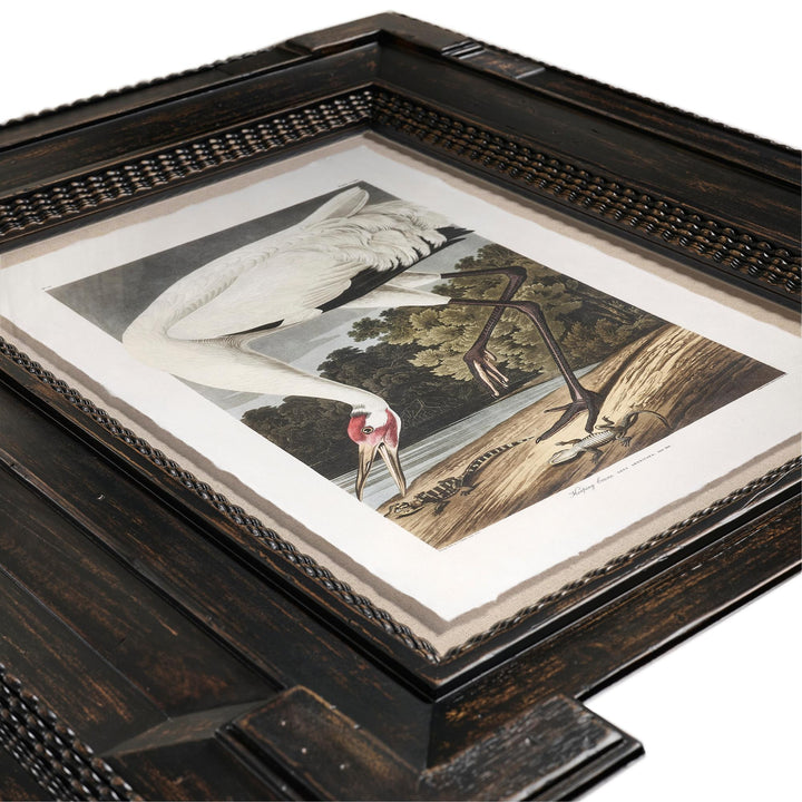 Audubon Birds - Set of 6 - image 9