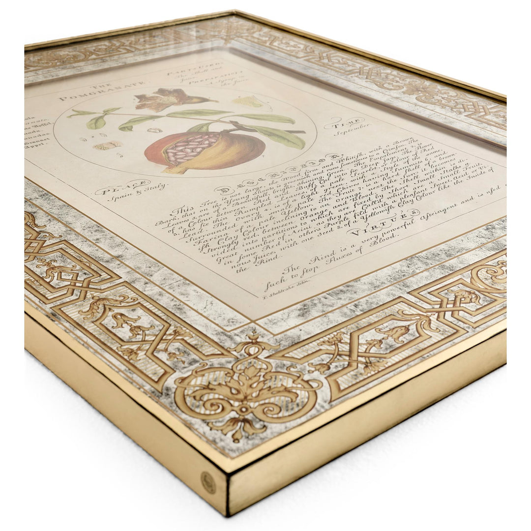 Herbal of Enlightenment - Set of 4 - image 7