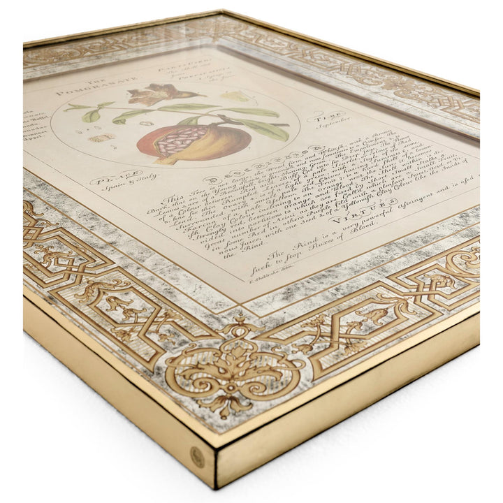 Herbal of Enlightenment - Set of 4 - image 7