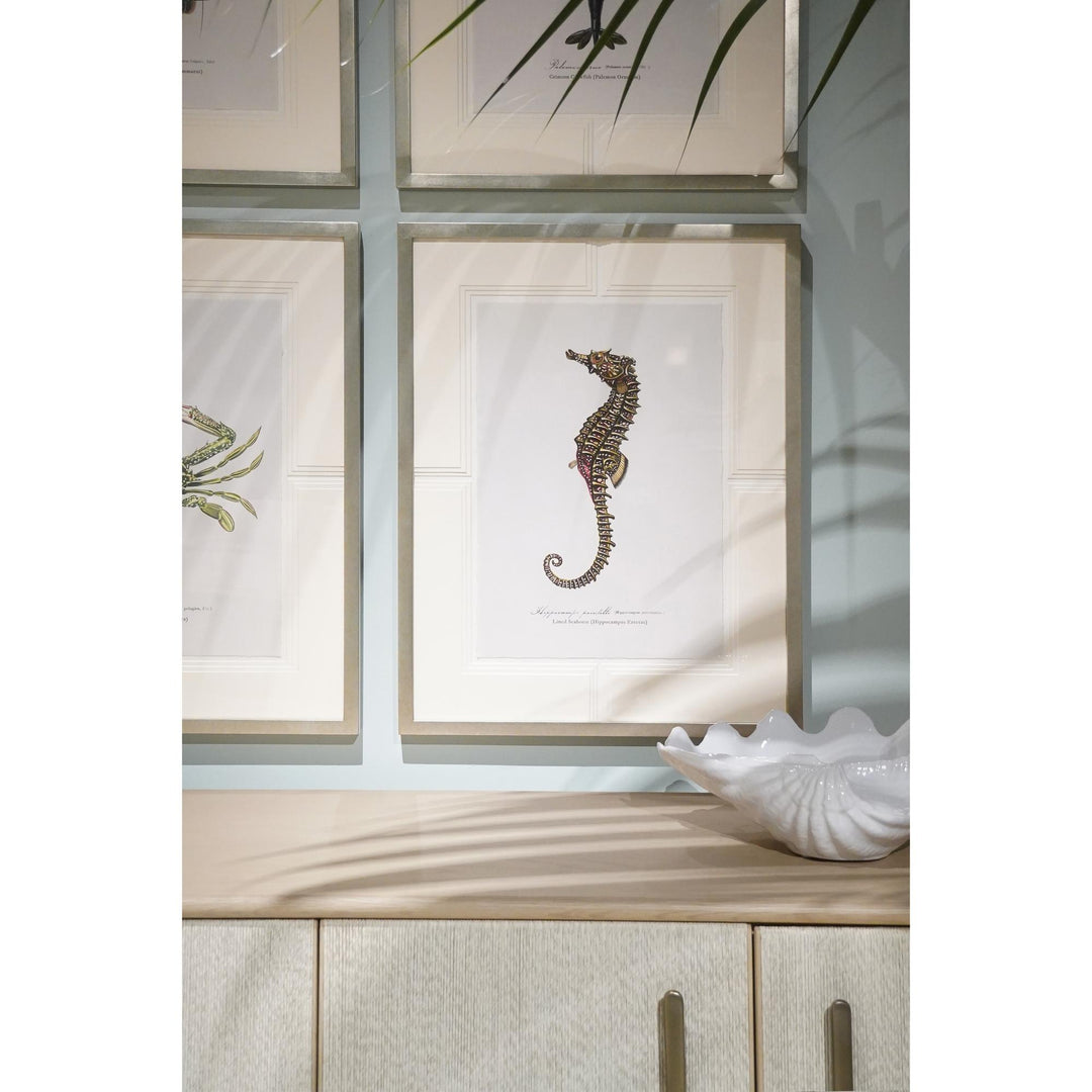 Vintage Marine Animals - Set of 4 - image 14