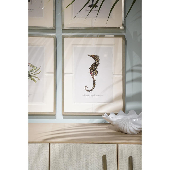 Vintage Marine Animals - Set of 4 - image 14