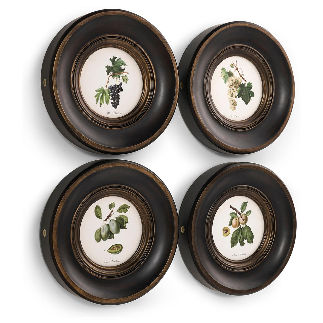 Vintage Fruit No. 3 - Set of 4 - image 2