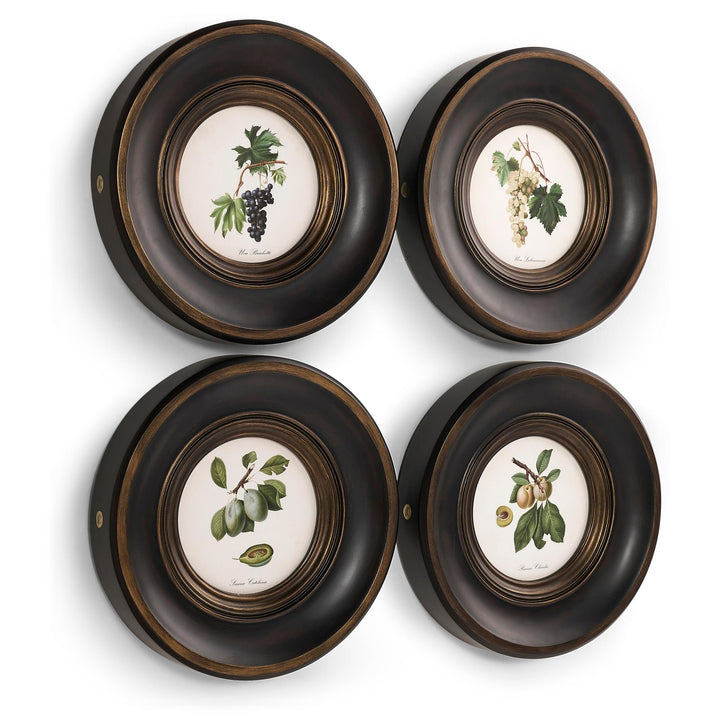 Vintage Fruit No. 3 - Set of 4 - image 2