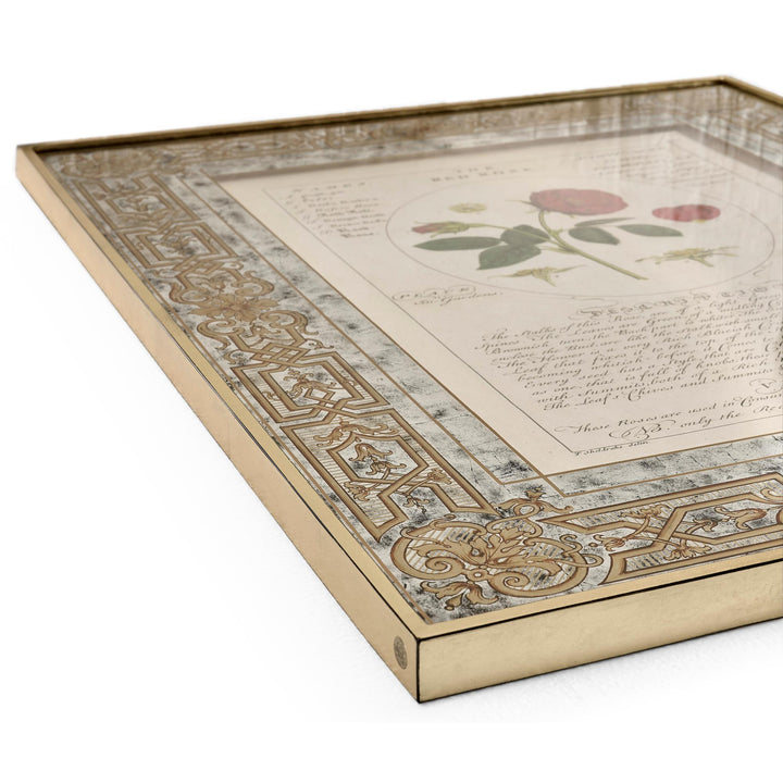 Herbal of Enlightenment - Set of 4 - image 3