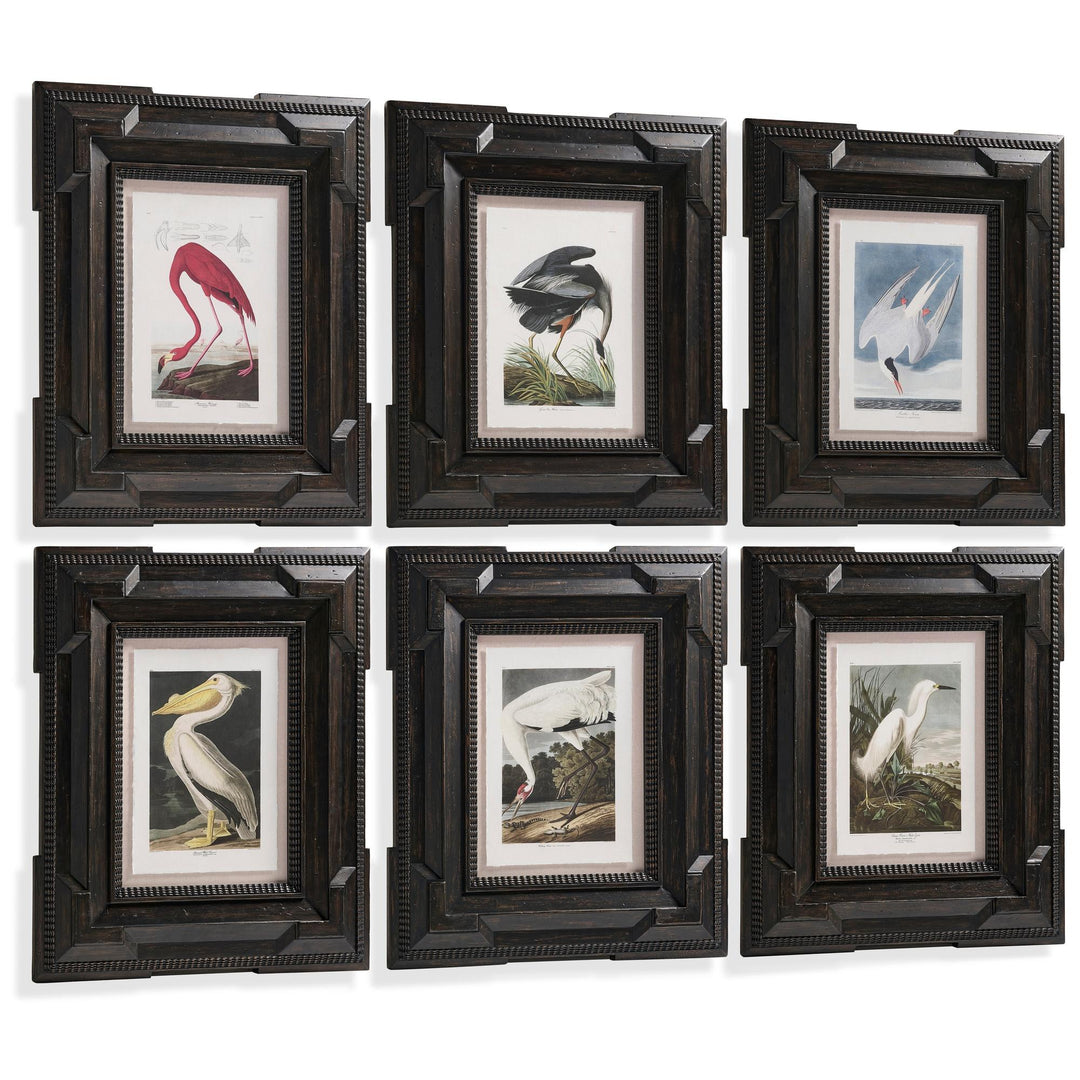 Audubon Birds - Set of 6 - image 2