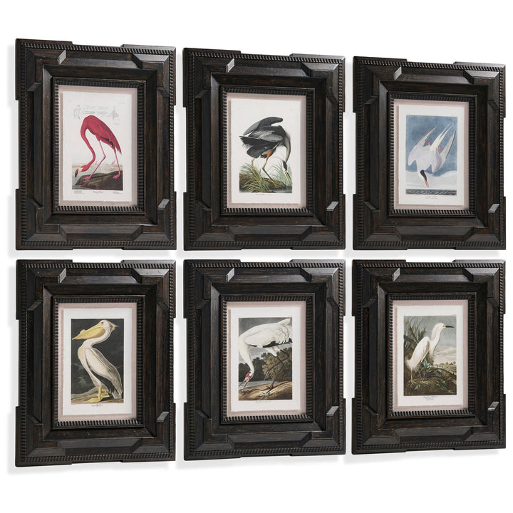 Audubon Birds - Set of 6 - image 2