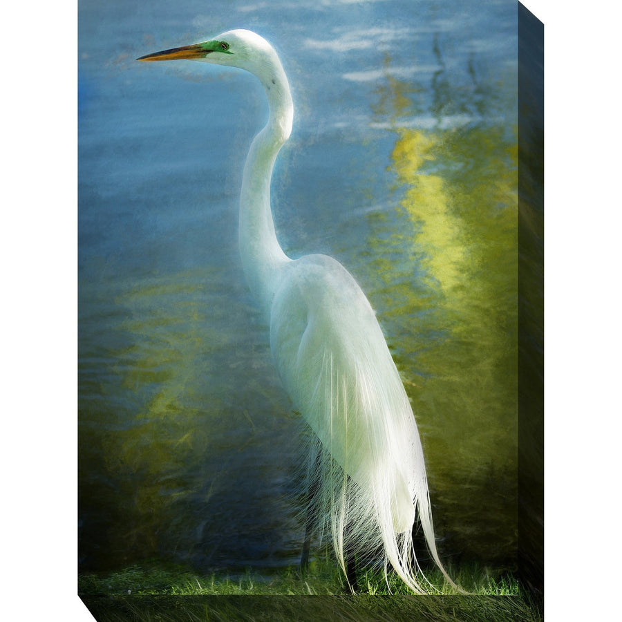 Poised Patience-West of the Wind-WESTOFWIND-OU-80950-Wall Art-1-France and Son